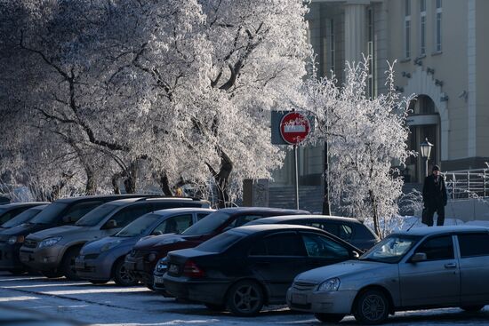 Winter in the Novosibirsk Region