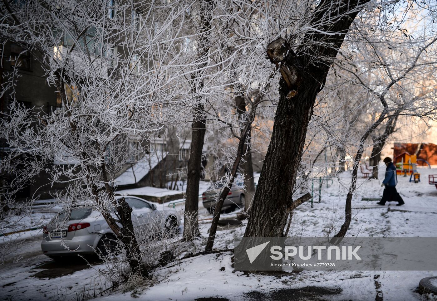 Winter in the Novosibirsk Region