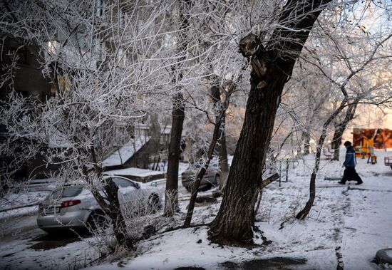 Winter in the Novosibirsk Region
