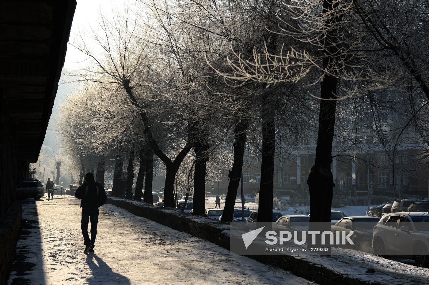 Winter in the Novosibirsk Region