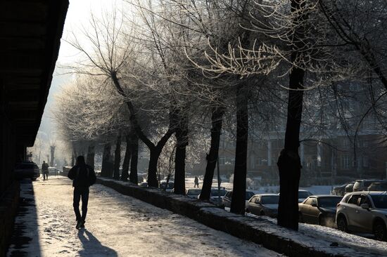 Winter in the Novosibirsk Region