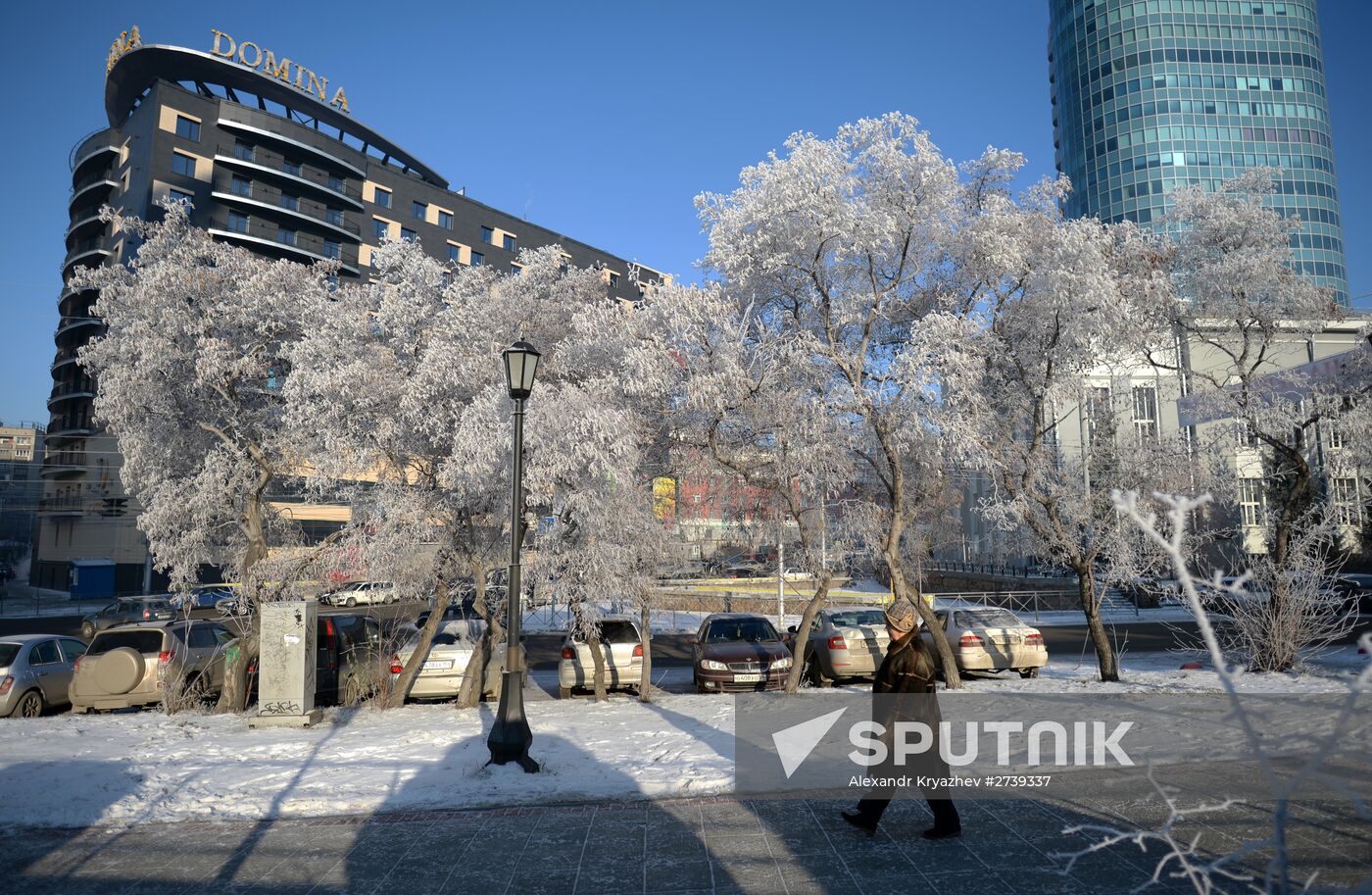 Winter in the Novosibirsk Region