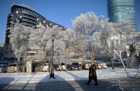 Winter in the Novosibirsk Region