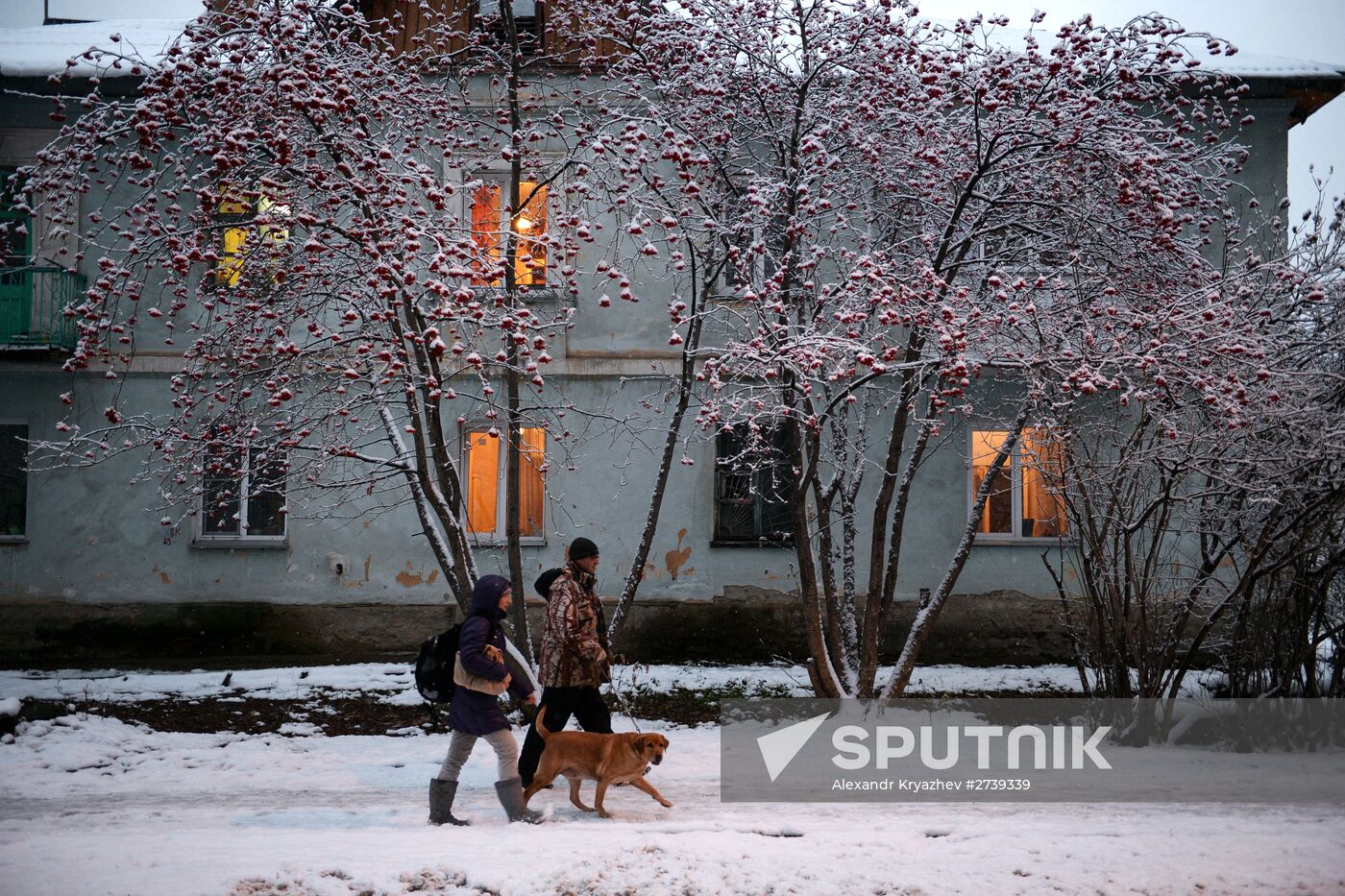 Winter in the Novosibirsk Region