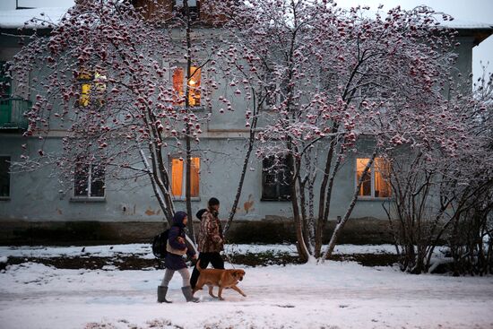 Winter in the Novosibirsk Region