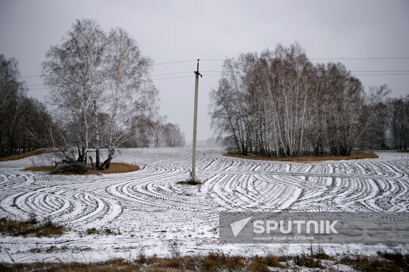 Novosibirsk Region in winter