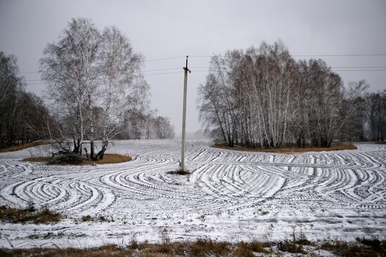 Novosibirsk Region in winter