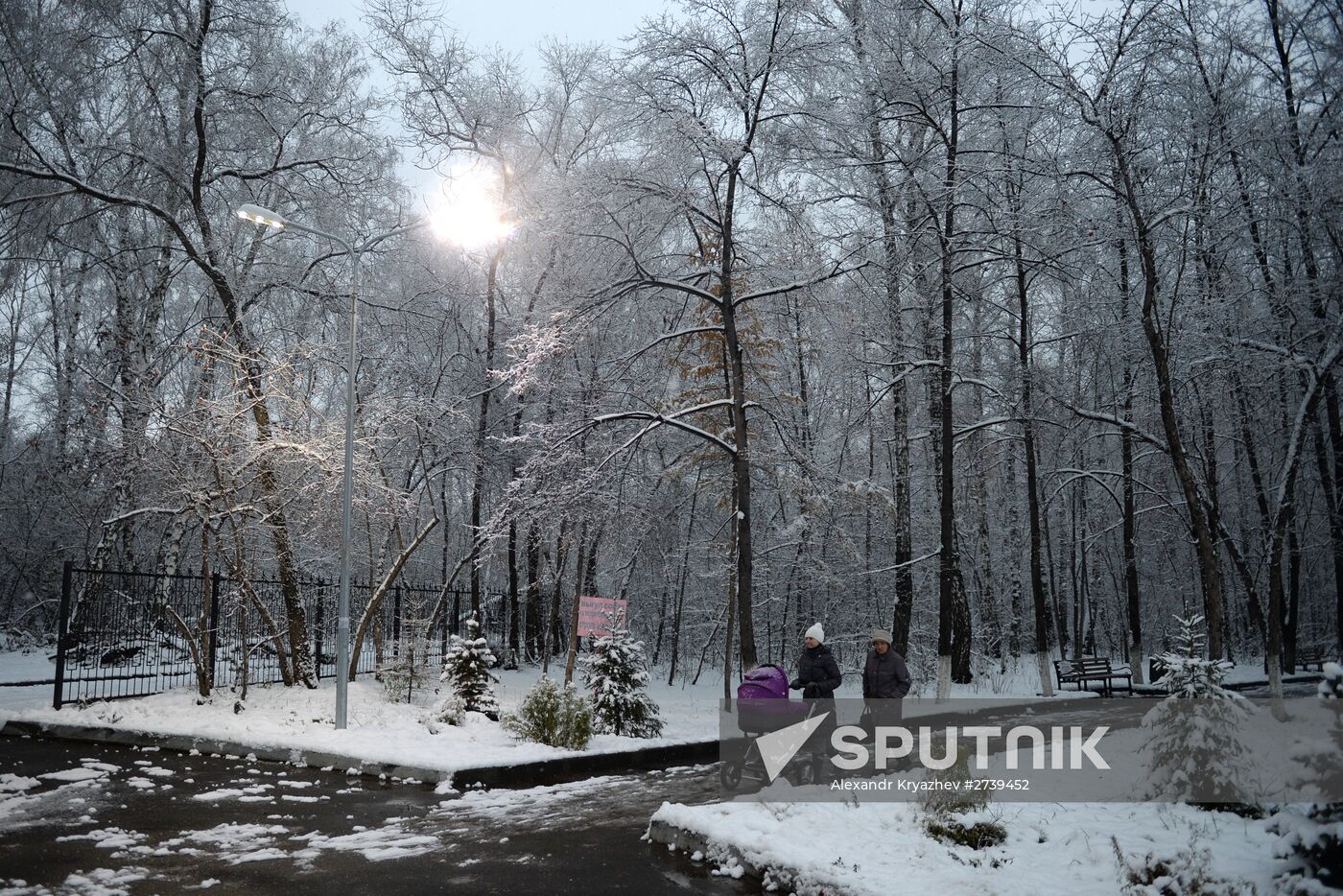 Novosibirsk Region in winter