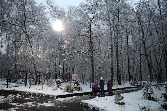 Novosibirsk Region in winter