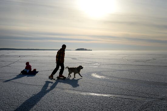 Winter in Novosibirsk Region