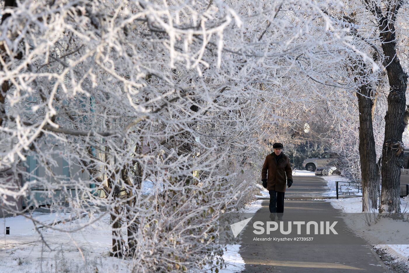 Winter in Novosibirsk Region