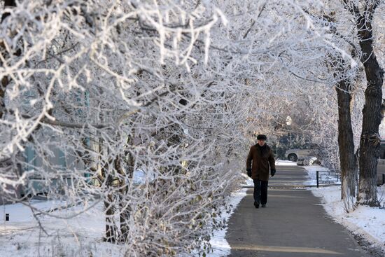 Winter in Novosibirsk Region