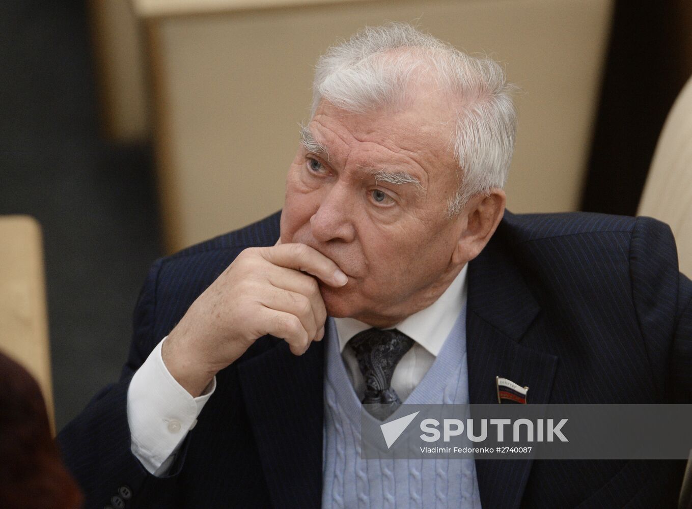 Plenary meeting of the State Duma of the Russian Federation