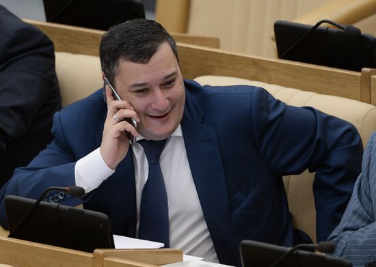 Plenary meeting of the State Duma of the Russian Federation