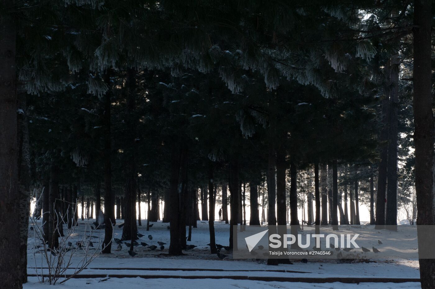 Russian cities. Tomsk