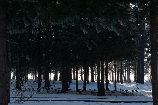Russian cities. Tomsk