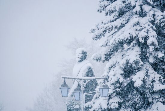Snowfall in Petrozavodsk