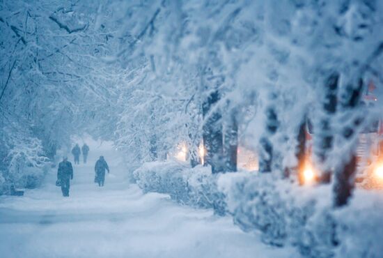 Snowfall in Petrozavodsk
