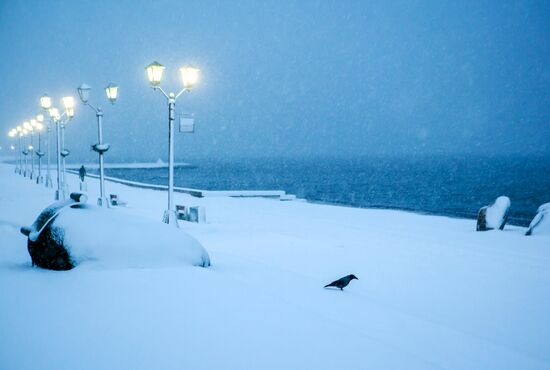 Snowfall in Petrozavodsk