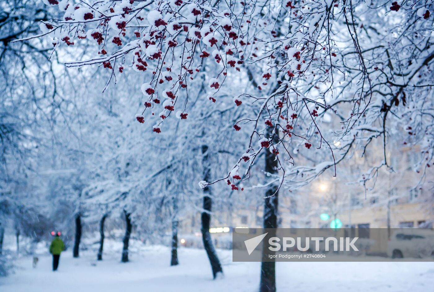 Snowfall in Petrozavodsk