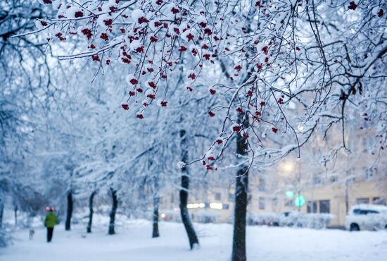 Snowfall in Petrozavodsk