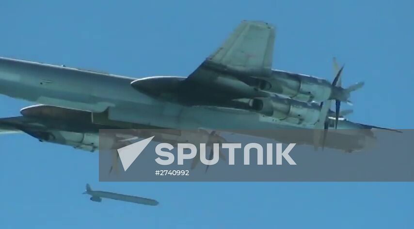 Cruise missiles hit ISIS targets in Syria