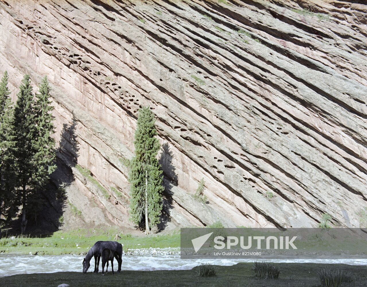 Issyk-Kul State Nature Reserve