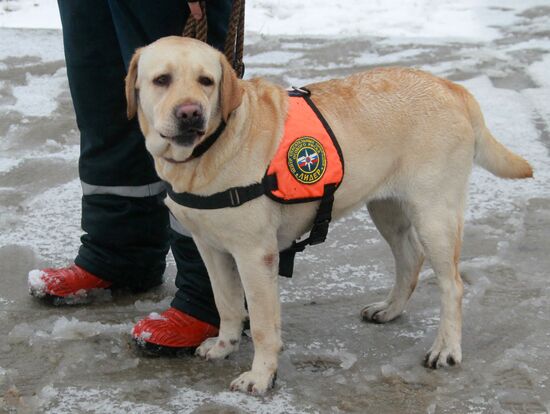 Russian Emergencies Ministry holds command post exercise