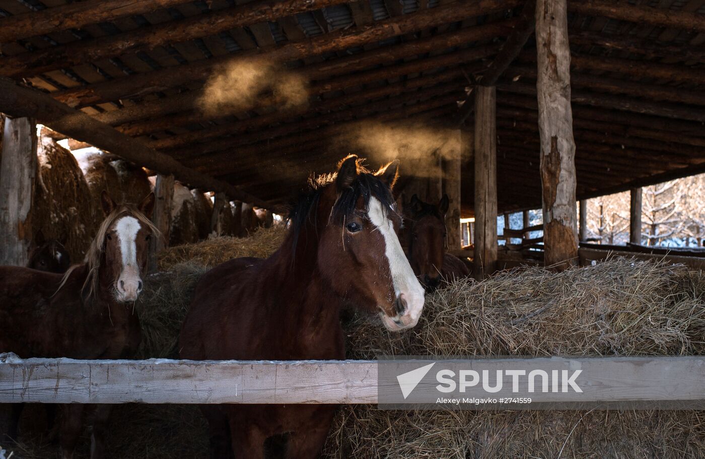 Russian Regions. Omsk Region