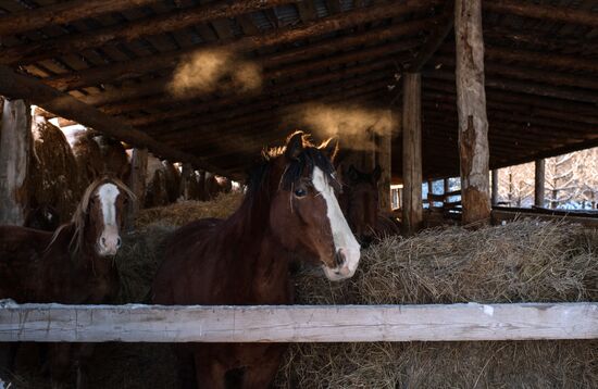 Russian Regions. Omsk Region