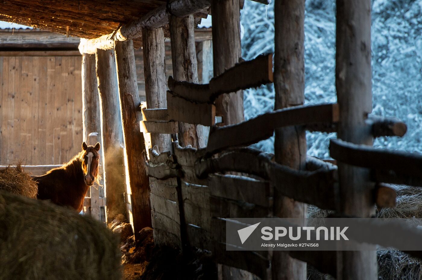 Russian Regions. Omsk Region