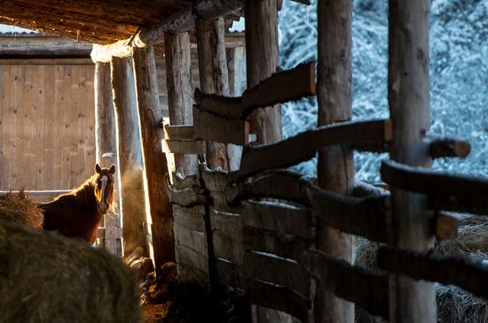 Russian Regions. Omsk Region