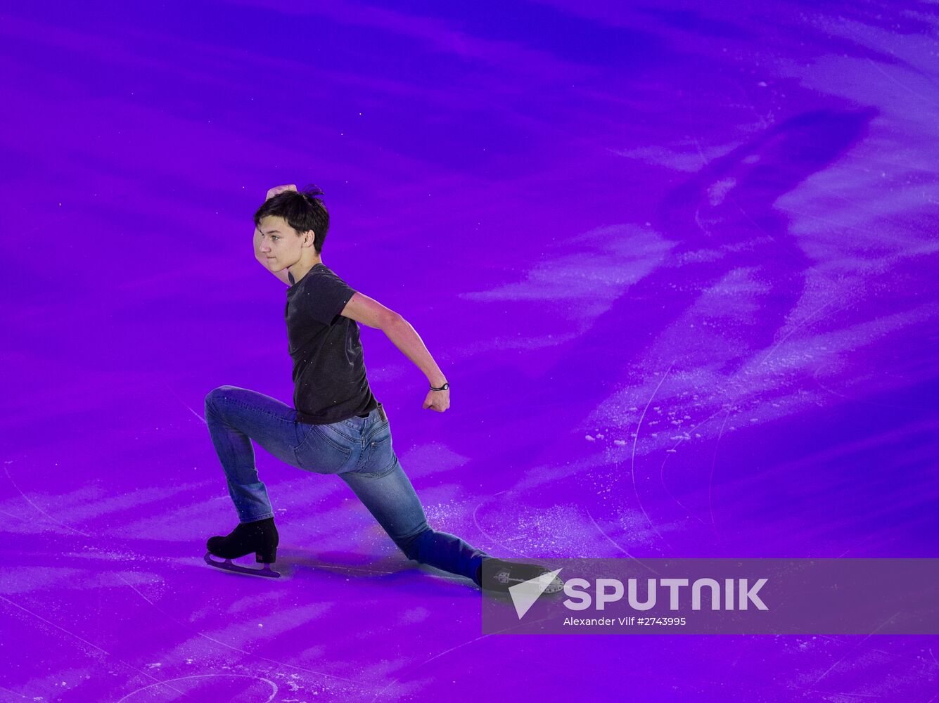 ISU Grand Prix of Figure Skating. 5th stage. Exhibition gala