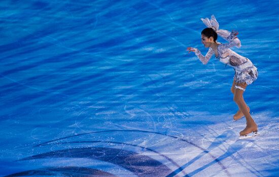 ISU Grand Prix of Figure Skating. 5th stage. Exhibition gala