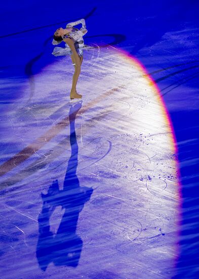 ISU Grand Prix of Figure Skating. 5th stage. Exhibition gala