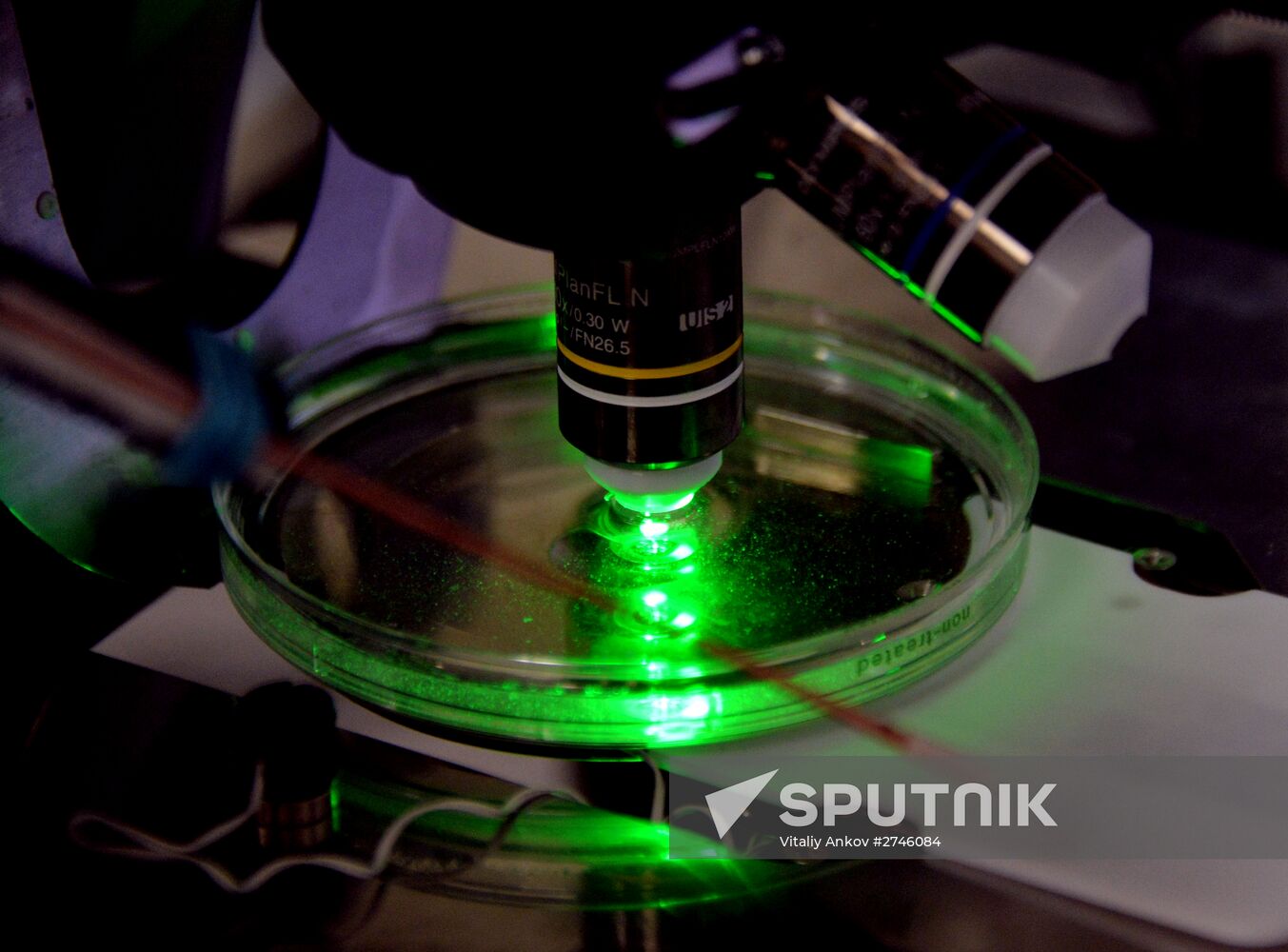 Laboratory of biomedical cell technologies in Vladivostok