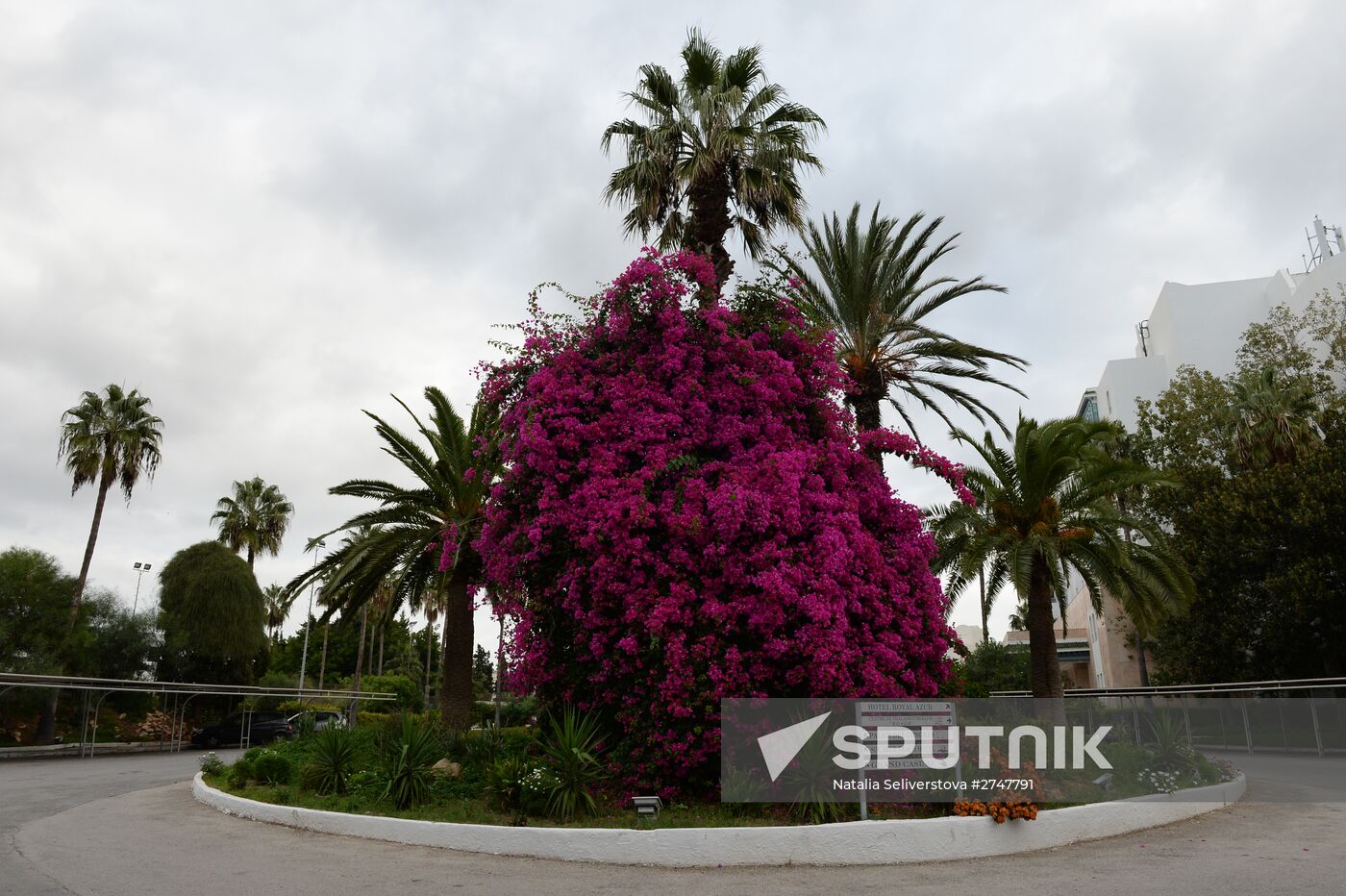 Bel Azur Hotel in Hammamet