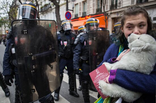 Unrest during environmental rallies in Paris