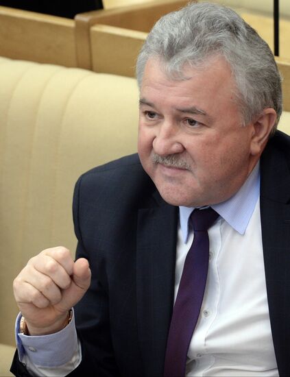 State Duma plenary session