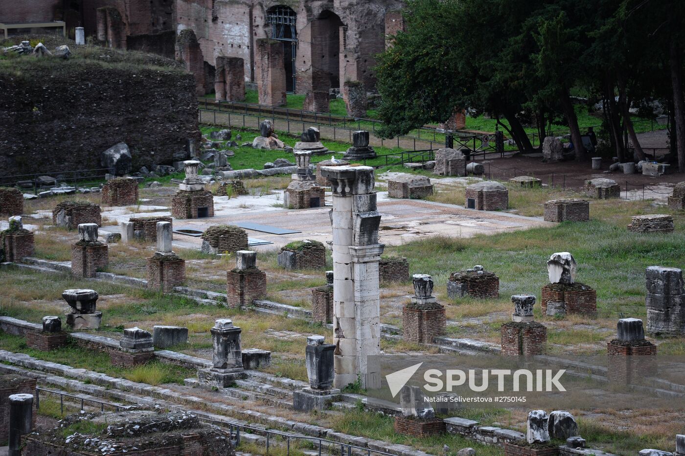 Cities of the world. Rome