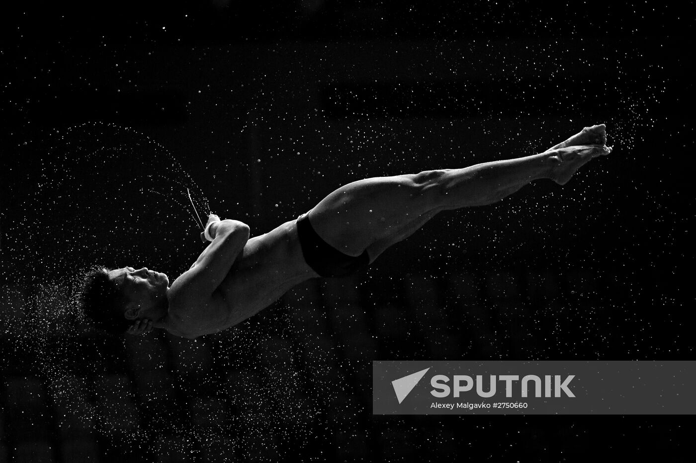 FINA 2015 World Championships. Men's 10 m Platform Diving Finals