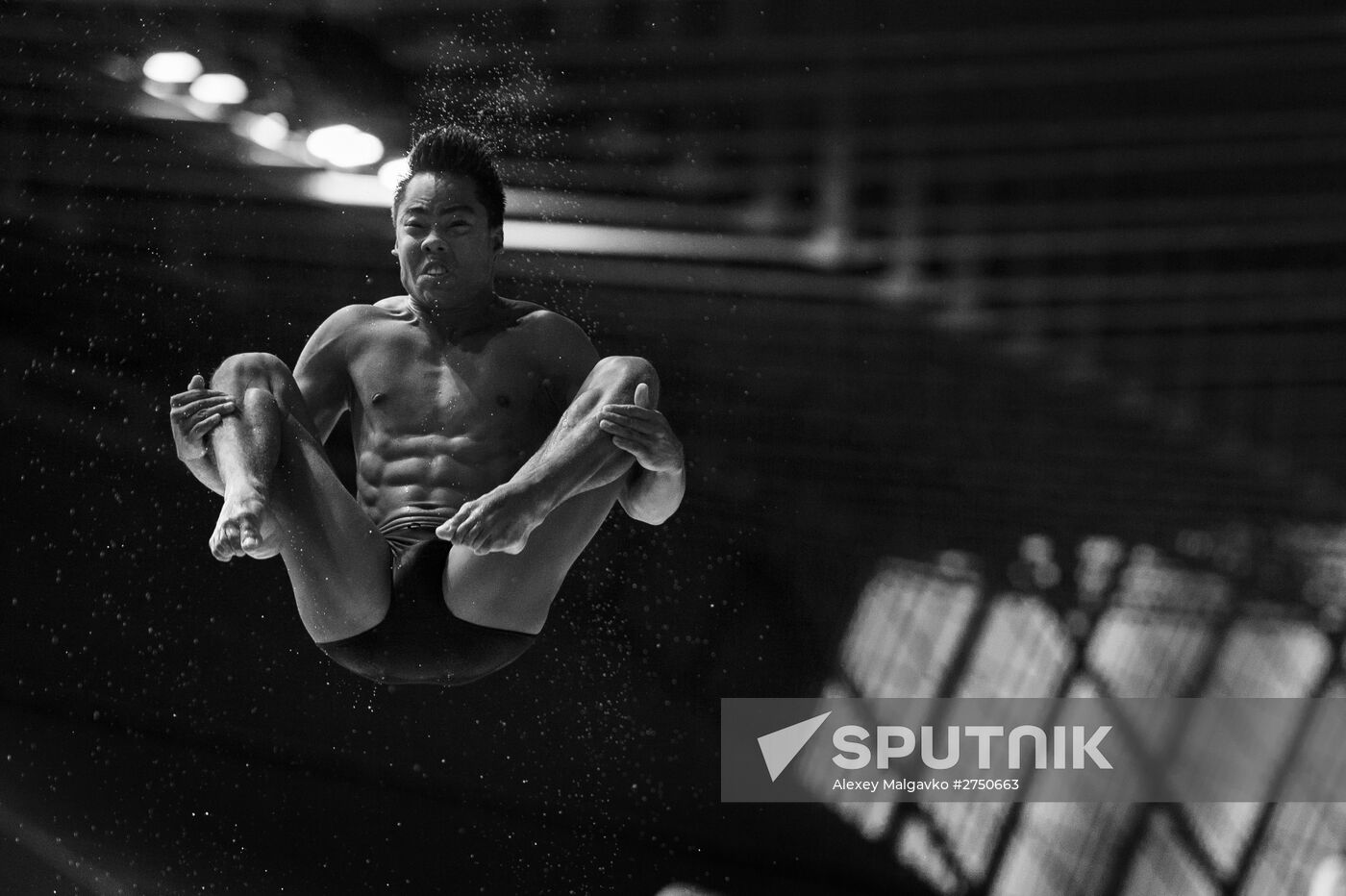 FINA 2015 World Championships. Men's 1 m Springboard Diving Finals
