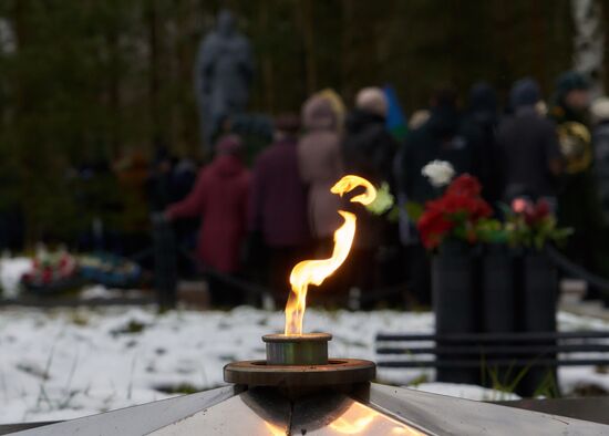 Monument to Soviet soldiers unveiled in Leningrad Region