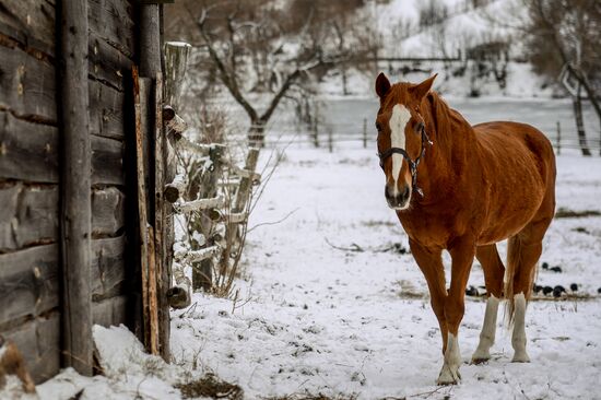 Leo Tolstoy's estate 'Yasnaya Polyana' in Tula Region