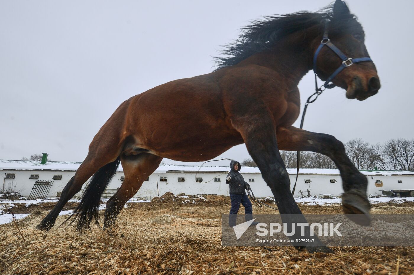 Leo Tolstoy's estate 'Yasnaya Polyana' in Tula Region