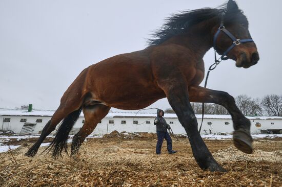Leo Tolstoy's estate 'Yasnaya Polyana' in Tula Region
