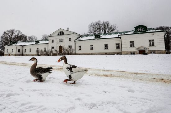 Leo Tolstoy's estate Yasnaya Polyana in Tula Region