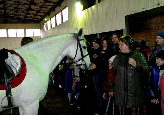 Therapeutic riding center in Donetsk