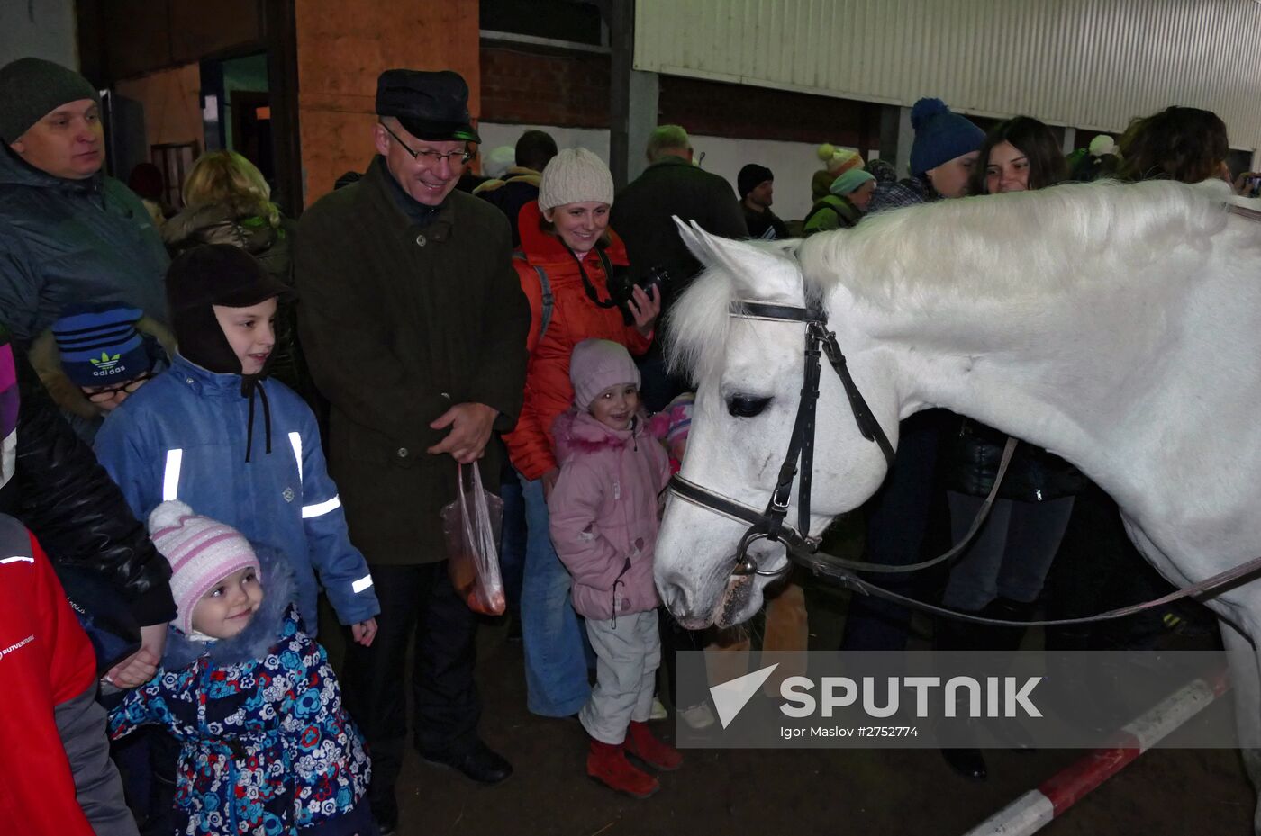 Therapeutic riding center in Donetsk