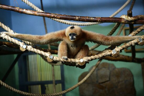 New inhabitants of Yekaterinburg Zoo